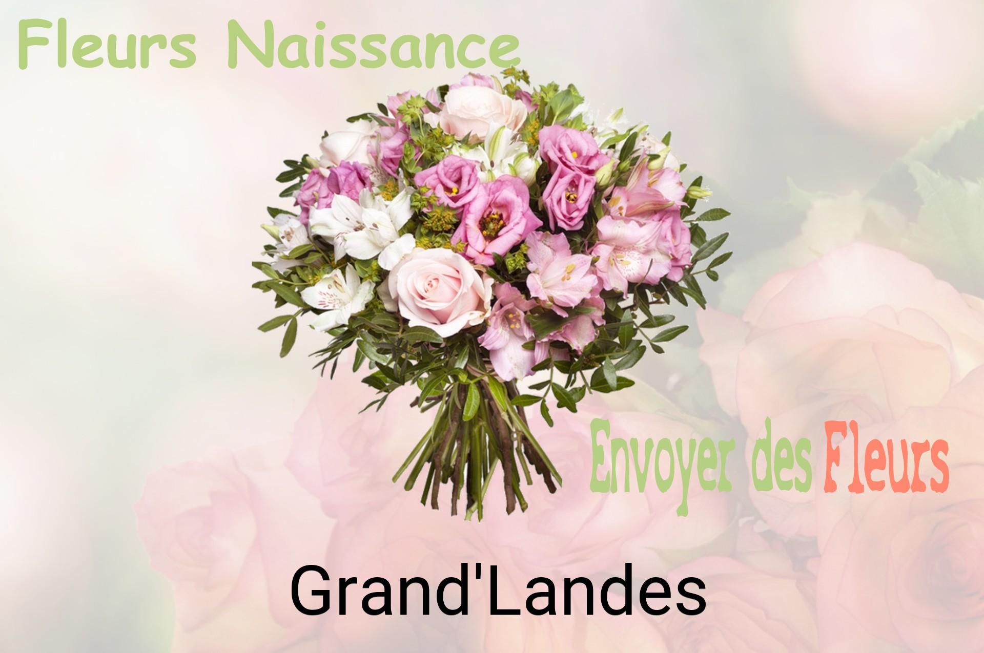 Bouquet de fleurs de naissance livré à Grand'Landes